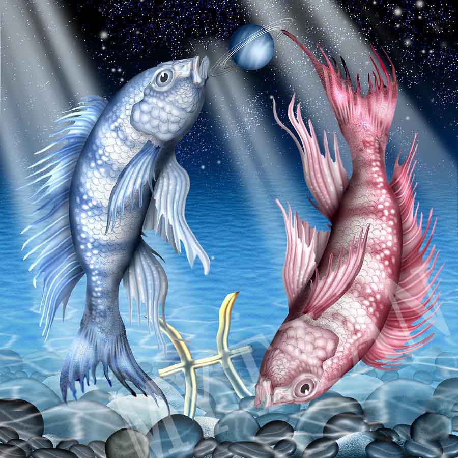 12 Zodiac Diamond Painting Kit 5D DIY Crystal Mosaic Wall Art Home Decor
