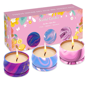 Scented Candles Set of 3, Aromatherapy Candle Set, Home Scented Candles for Winter, Holiday