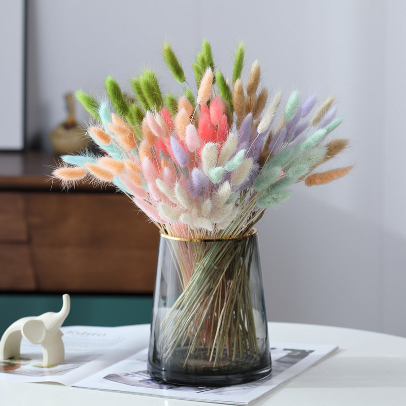 dried bunny tail grass bouquet pampas style home decor natural flower arrangement