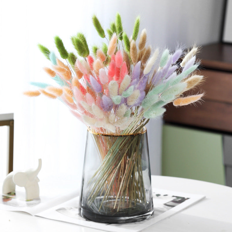 Dried Bunny Tail Grass Bouquet Pampas Decor Natural Flower Arrangement