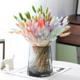 Dried Bunny Tail Grass Bouquet Pampas Decor Natural Flower Arrangement