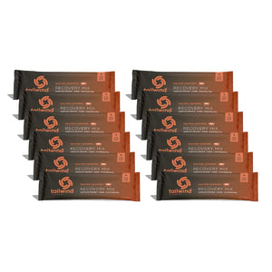Tailwind Nutrition Recovery Mix salted caramel protein carbs electrolytes vegan post workout drink 12 servings